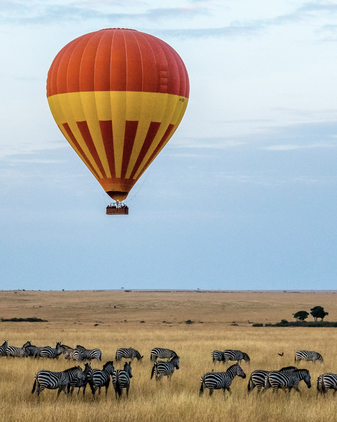 mara honeymoon